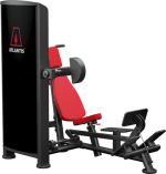 Atlantis Precision Overhead Triceps